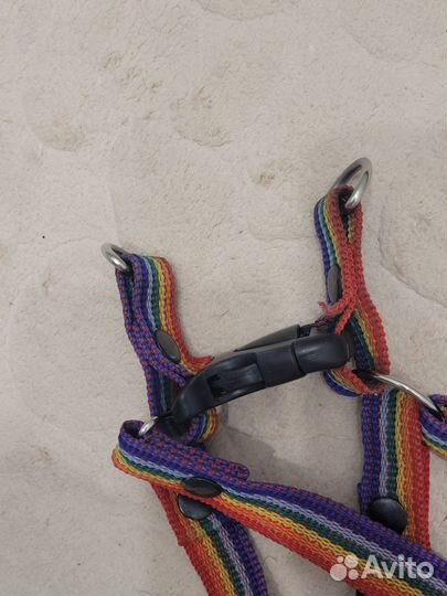 Комплект поводок и шлейка