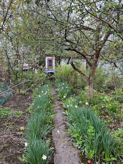 Участок 8 сот. (ИЖС)