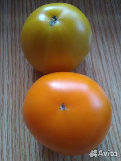 Семена томатов и перцев