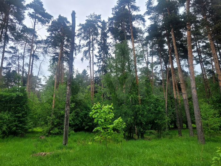 Участок 8 сот. (ИЖС)