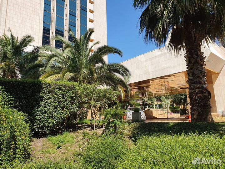 Туры в Сочи