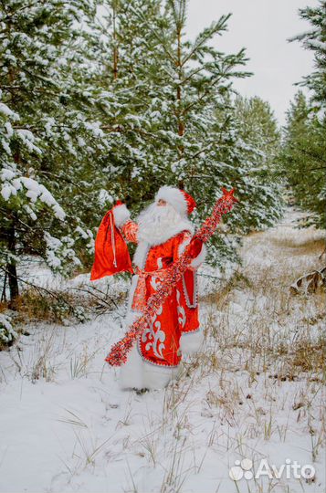 Поздравление деда мороза и снегурочки