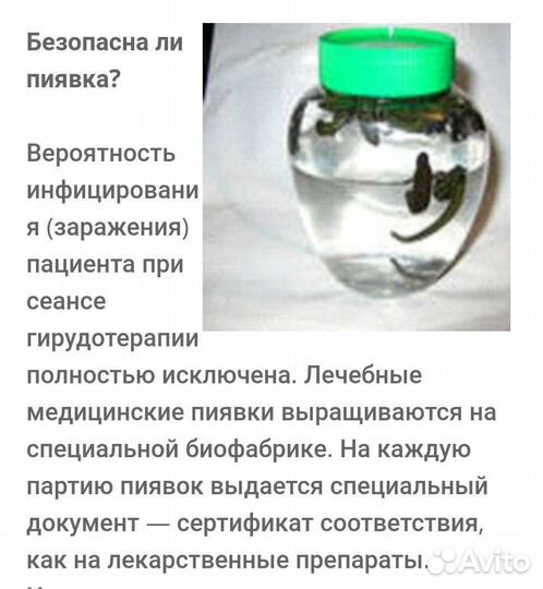 Пиявка