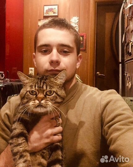 Актер массовки