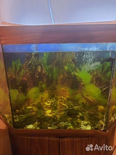 Аквариум с тумбой бу