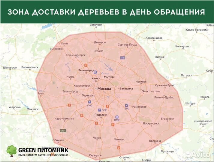 Смарагд,Брабант,Колумна