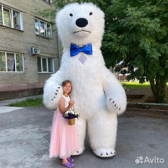 Креативное поздравление от белого мишки