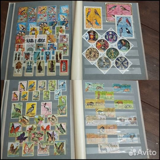 Марки Африки чист/гаш в большом альбоме