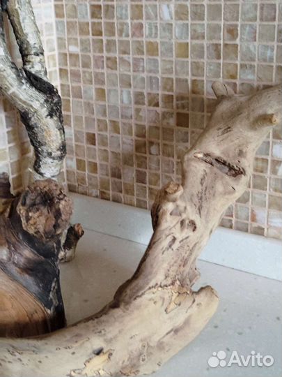 Коряга, Дрифт вуд, ветка натуральная/декоративная