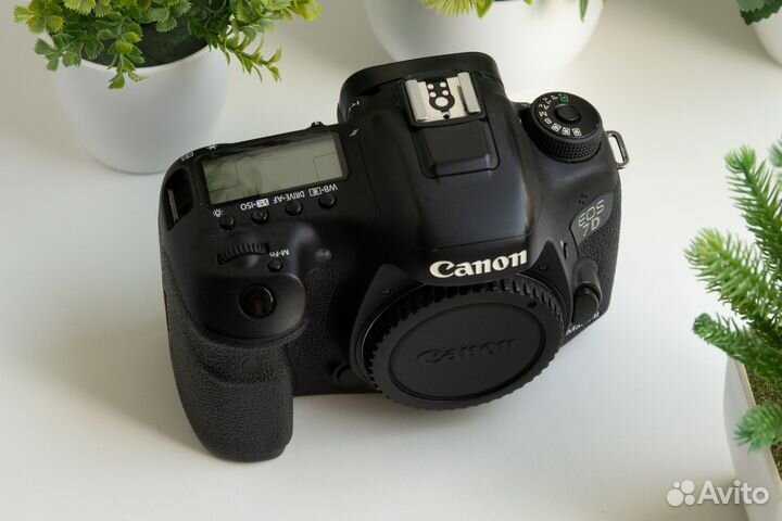 Canon 7D Mark II