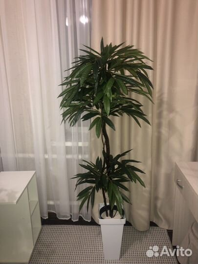 Искусственное дерево манго