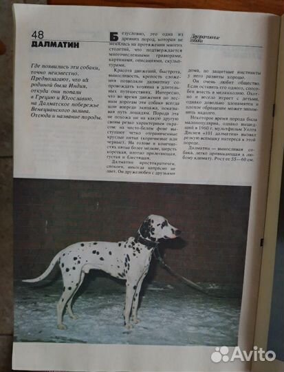 Книги: Постеры 