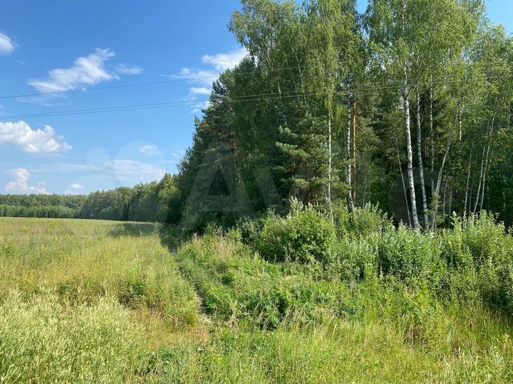 Участок 5 га (СНТ, ДНП)