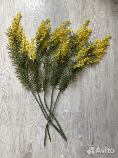 Мимоза искуственная