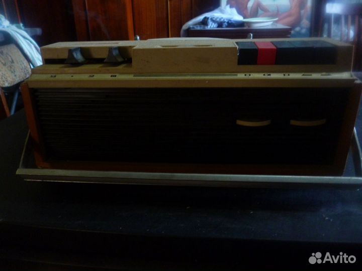 Дайна Эльфа 29