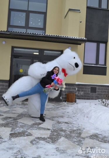 Мишка на поздравления