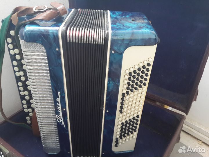 Баян полесье