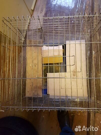 Клетка для шиншилл других грызунов