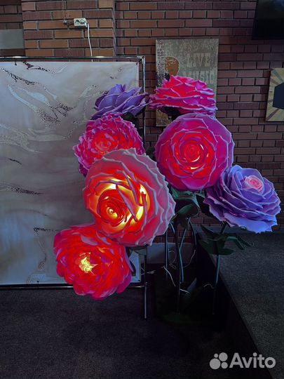 Ростовые цветы, композиция