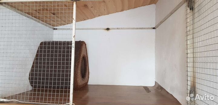 Домашняя передержка