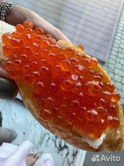 Красная икра