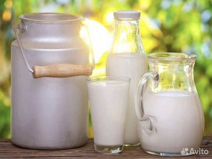 Молоко питьевое Любаня из Кубани 3.2, 1л