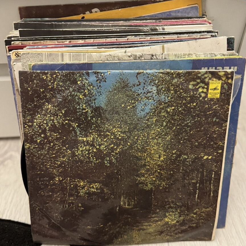 Жалаңаш тележүргізушілер тікелей эфирде