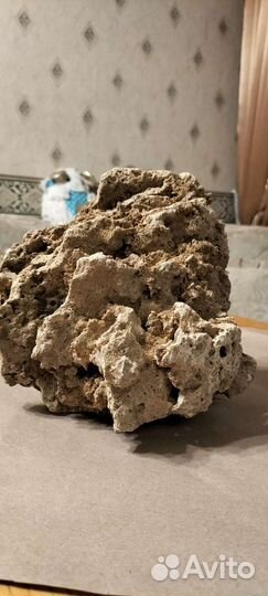 Декор камень песчанник Коряга, Коралл