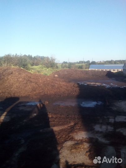 Коровий навоз