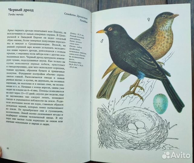 Книга про птиц