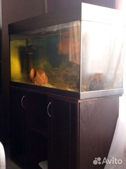 Аквариум