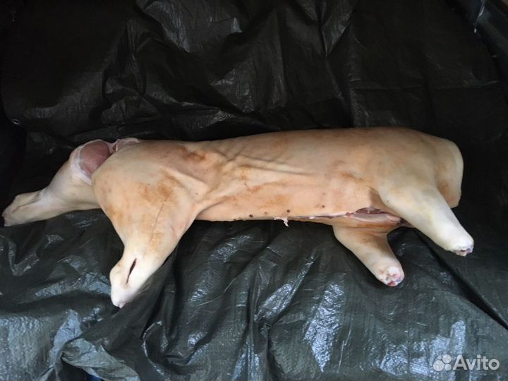 Мясо Свинина домашняя