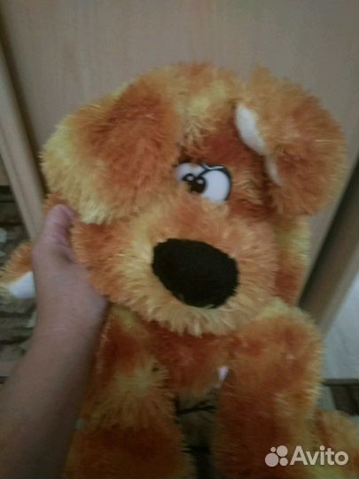 Классный пушистый рюкзаг - собака