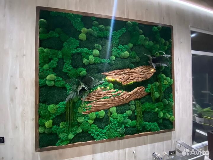 Фитокартина живая стена из мха