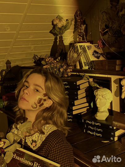 Помощник художника