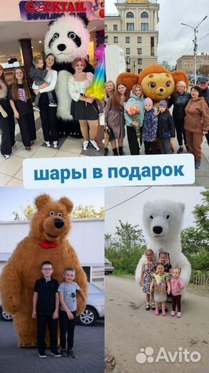 Белый мишка/Чебурашка/Панда/Поздравление