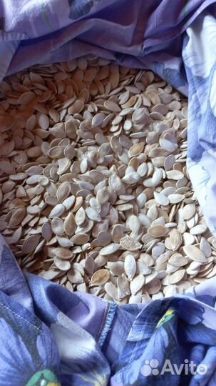 Семена тыквы