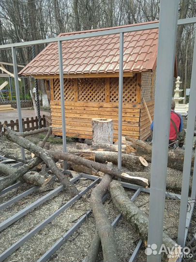 Спил деревьев