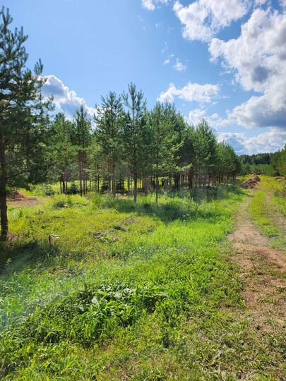 Участок 14,1 сот. (ИЖС)