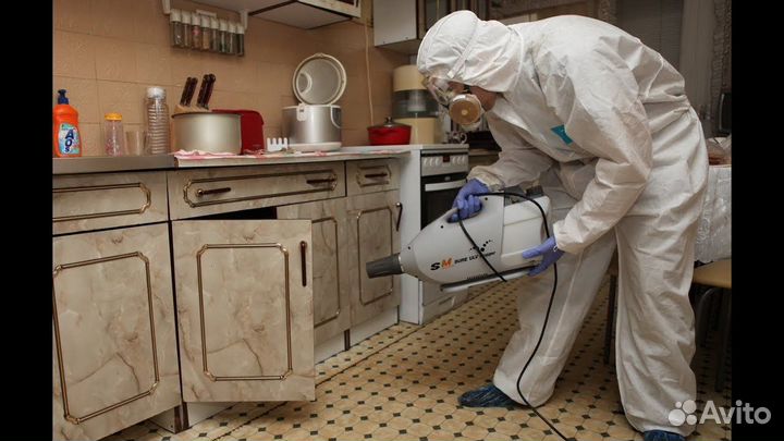 Дезинфекция тараканов и клопов