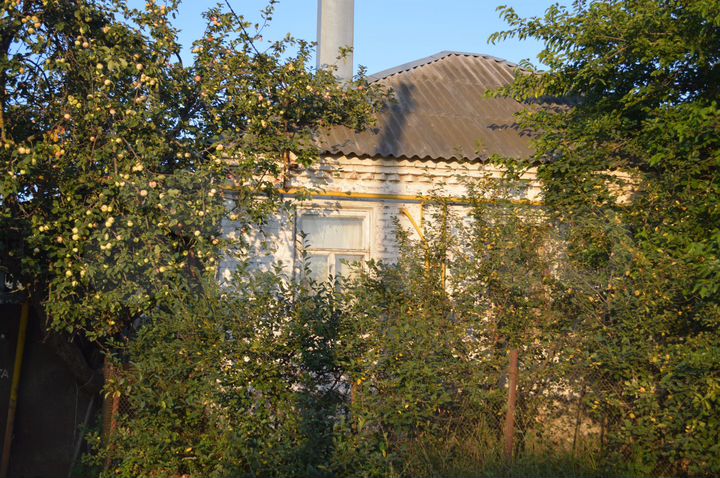 Дом 45,9 м² на участке 5 сот.