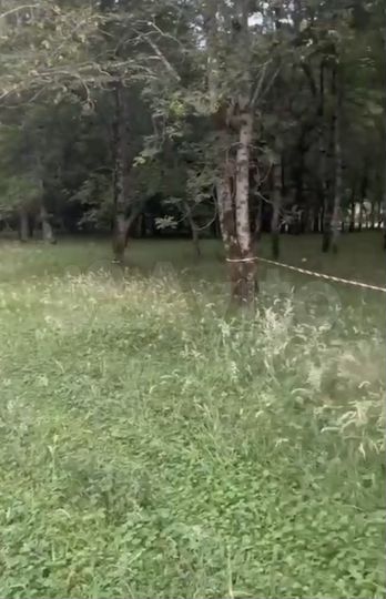 Участок 100 сот. (СНТ, ДНП)