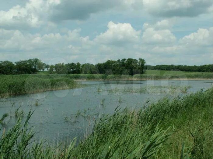 Дом 31,9 м² на участке 7 сот.