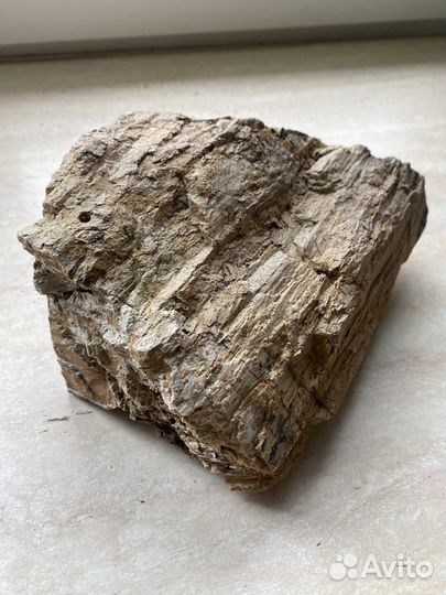 Коряга,камень