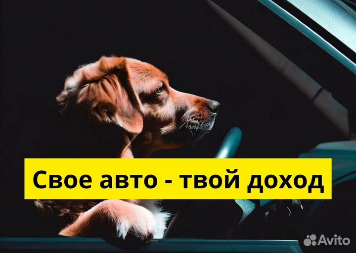 Ищем водителя на своем авто для яндексgo