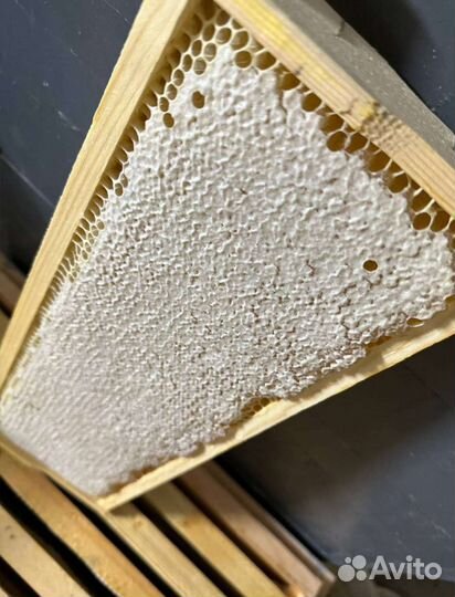 Рамка меда в сотах (доставка по Тюмени 50)