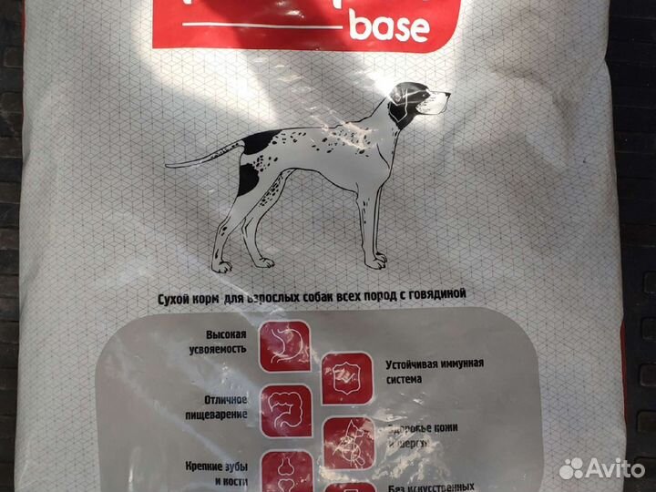 Корм для кошек и собак provipet