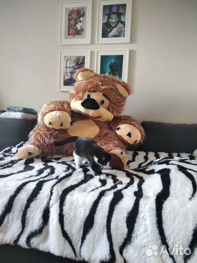 Мягкая игрушка медведь