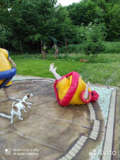 Аттракцион сумоисты