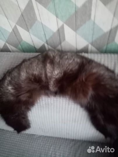 Воротник из чернобурки